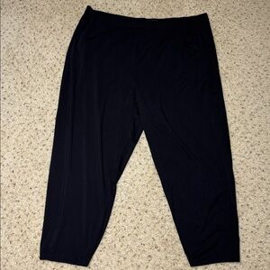 Eileen Fisher Classic Black Elegant Black Pants size 3x
